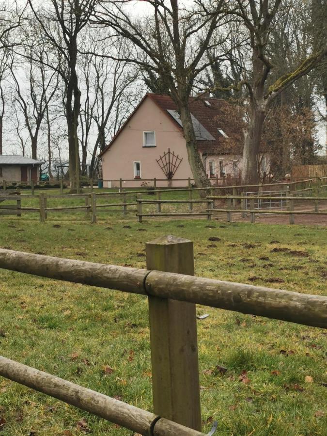 Ferienwohnung Am Stadtrand Garz Ruegen Екстер'єр фото